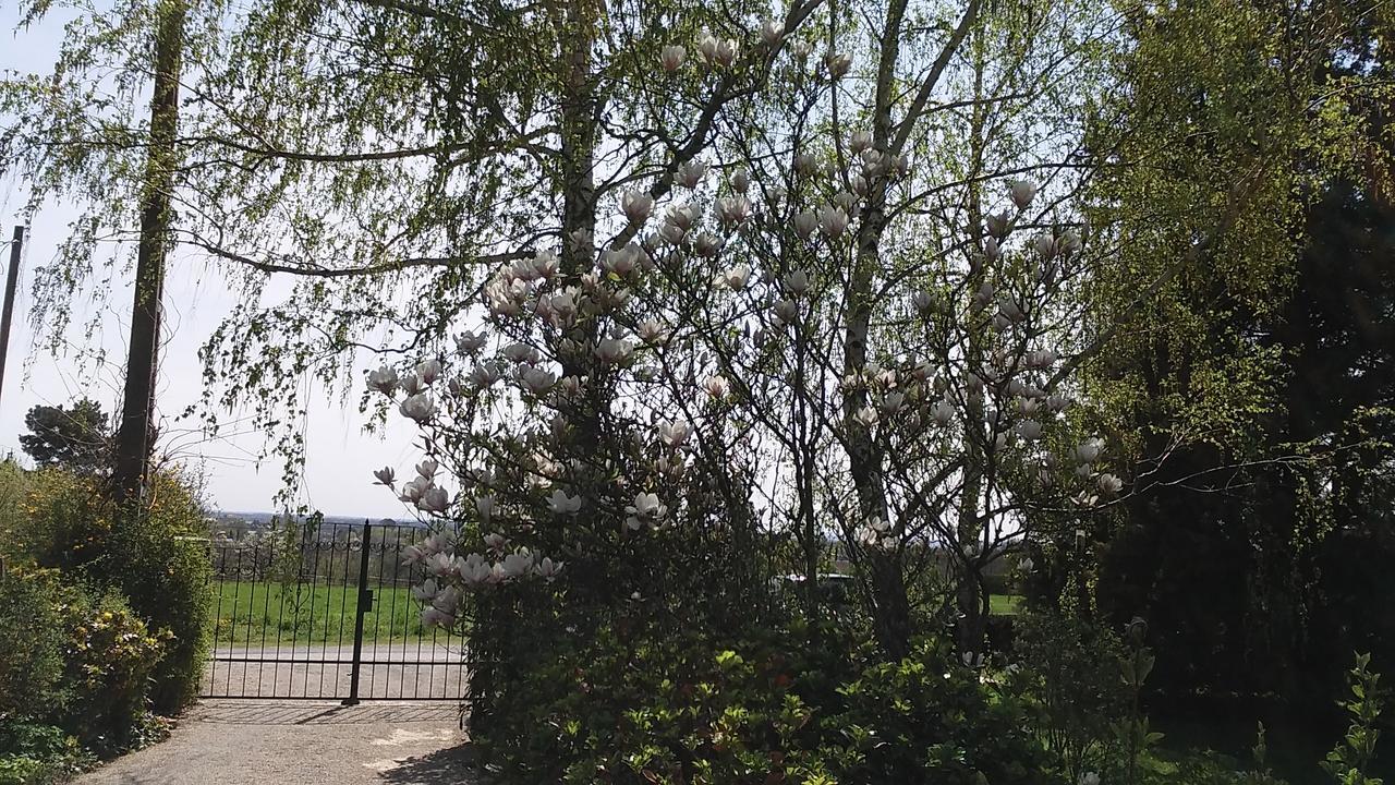 Frutta Villa Cserszegtomaj Extérieur photo